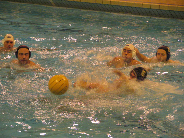 IMG_0015_8_2_1.JPG