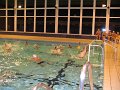 IMG_0841