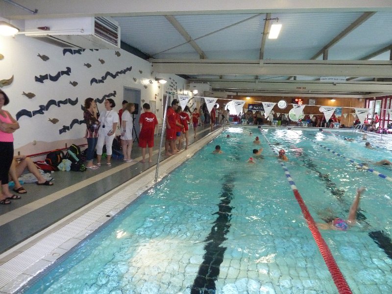 P1050486.JPG