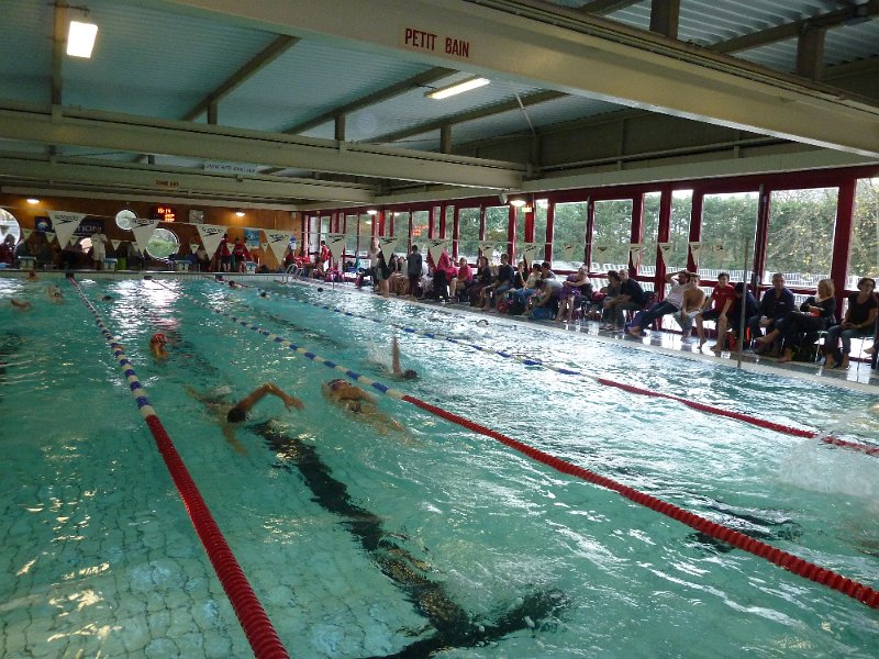 P1050487.JPG